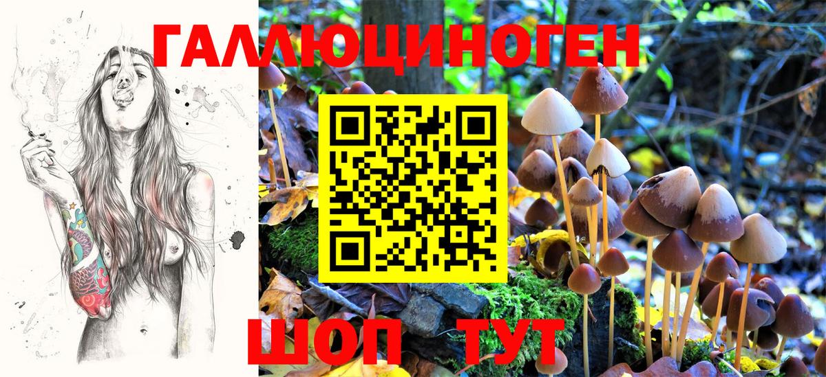 Саранск  Псилоцибиновые грибы ЛСД  Вход с VPN 